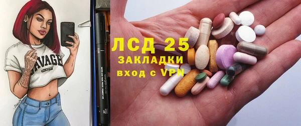 стаф Белокуриха