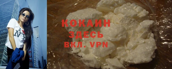 стаф Белокуриха
