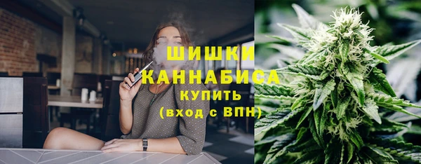 стаф Белокуриха